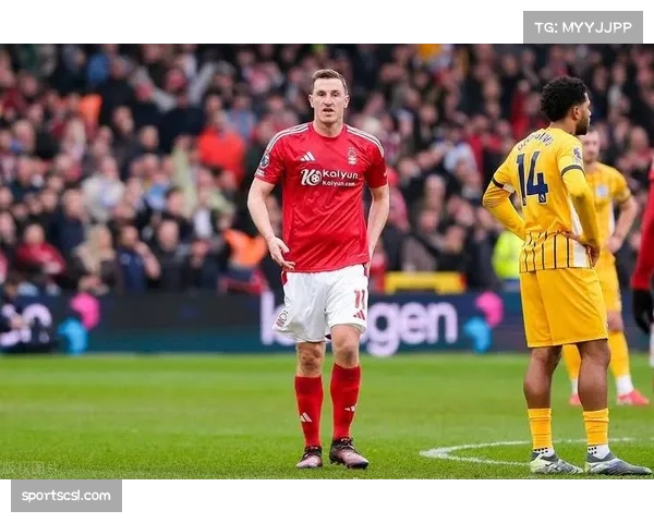 诺丁汉森林2-2富勒姆,两队各入一球均源自对手传球失误后的快速反击 诺丁汉森林2-2富勒姆,两队各入一球均源自对手传球失误后的快速反击